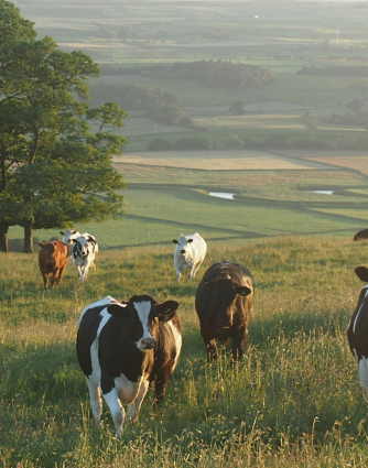 Agricultural operations in rural farming environment